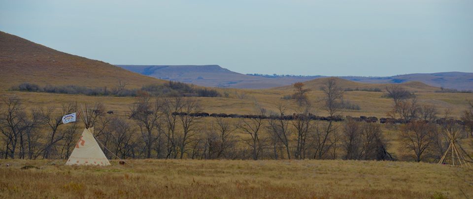 MKP USA Expands Commitment to Indigenous People